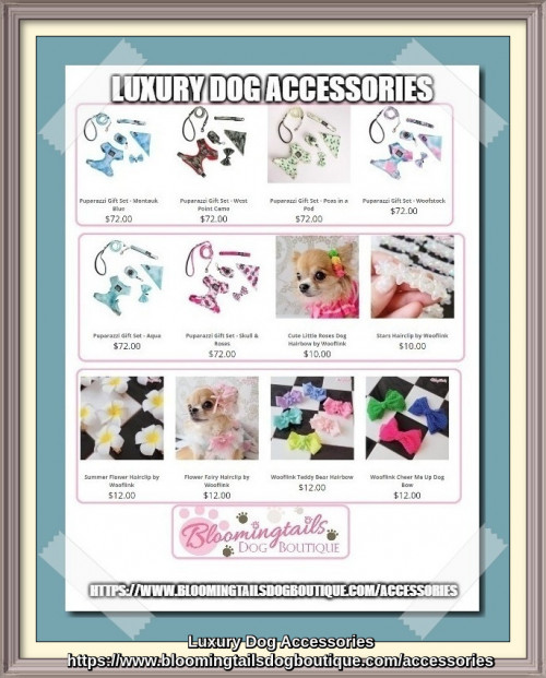 Luxury-Dog-Accessories-bloomingtailsdogboutique.com.jpg