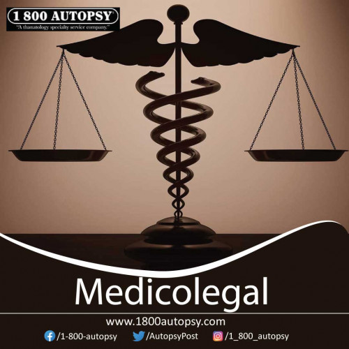 Medicolegal-2.jpg