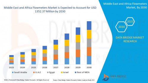 Middle-East-and-Africa-Flowmeters-Market.jpg