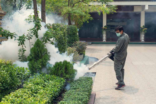 Mosquito-Control-Treatment.jpg