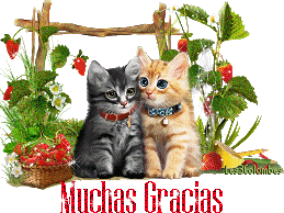 Muchas_Gracias-ab.gif