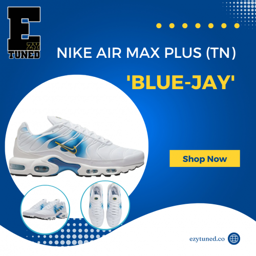 NIKE-AIR-MAX-PLUS-TN-BLUE-JAY.png