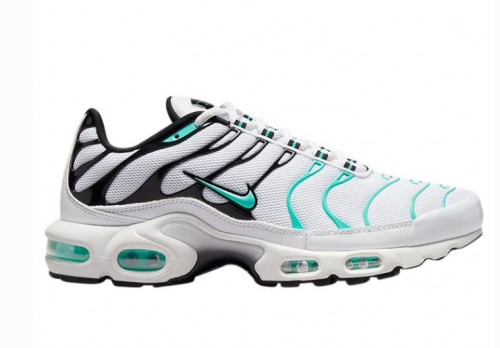 NIKE-AIR-MAX-PLUS-TN-TIFFANY-2022-RETRO.jpg