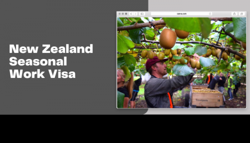 People who are already in New Zealand on a Student or Visitor Visa can make a one-off application for a Work Visa to do seasonal work in the horticulture or viticulture industries.
https://nzimmigration.info/work-visa/seasonal-work-visa/