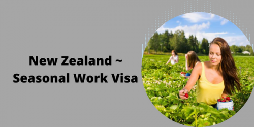 New-Zealand-_-Seasonal-Work-Visa.png