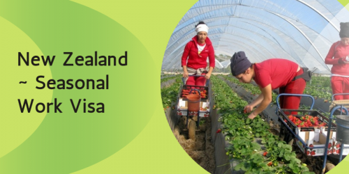 New-Zealand-_-Seasonal-Work-Visa79bfbb644ce63b85.png