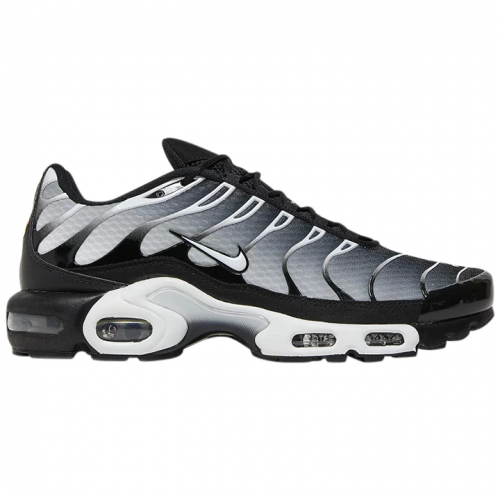 Nike-Air-Max-Plus-Black-Metallic-Silver.png