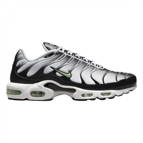 Nike-Air-Max-Plus-TN-Fresh-Mint.png