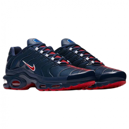 Nike-Air-Max-Plus-TN-PSG.png