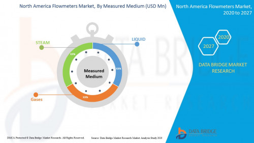 North-America-Flowmeters-Market.jpg