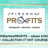 Piranhaprofits--Adam-Khoo--Collection-7-Hot-Course