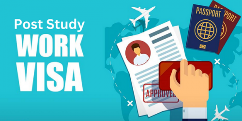 You can apply for the Post-Study Work Visa in NZ if you are willing to stay in New Zealand after your study is over. This visa allows you to work in the country and earn your livelihood.
https://nzimmigration.info/work-visa/post-study-work-visa/