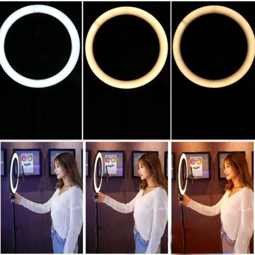 RINGLIGHT--2.jpg