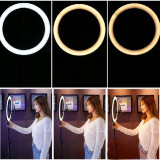 RINGLIGHT--2