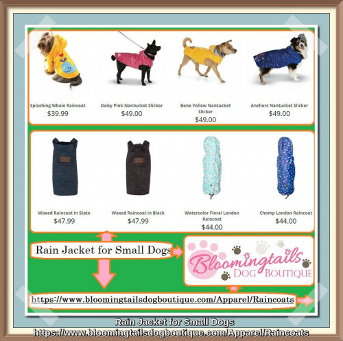 Our array of small dog rain jackets will keep your hubby absolutely dry, warm and protect from water splashes. We have different sizes and color to choose from. https://cutt.ly/SNL46Ia