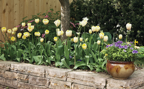 A Raised Garden Bed not only looks beautiful but also makes your flowers and vegetables grow easier. It is less complicated and creates a conducive environment for better growth. https://www.gardengatemagazine.com/articles/projects/all/how-to-make-a-raised-garden-bed