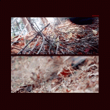 RiverMoon-e0103
