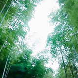 RiverMoon-e0230