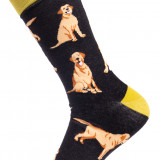 S2029-LABRADORABLE-LS-2