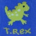 SK741-Baby-Boys-6-Pack-Dinos--Monsters-Socks-SWATCH.jpg