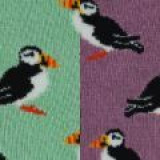 SKT0072PK-PUFFINS-SWATCH003853127303db27