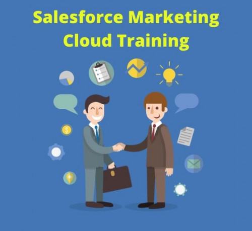 Salesforce-Marketing-Cloud-Training.jpg