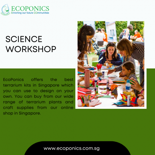 Science Workshop
EcoPonics offers the best terrarium kits in Singapore which you can use to design on your own. You can buy from our wide range of terrarium plants and craft supplies from our online shop in Singapore.
Website: https://www.ecoponics.com.sg
#science #worshop
#scienceworkshop #terrarium #terrariumworkshop #worshops #terraium #leathercrafts #leathercraftssingapore