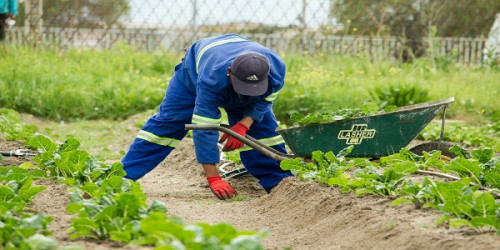 Seasonal-Work-Visa-For-New-Zealand.jpg