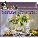 Senza-ctvrtek8b4da41d13577a73