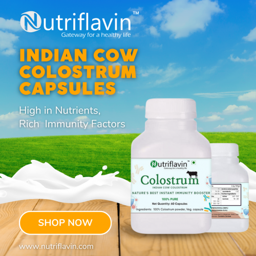 Cow colostrum is also taken orally to boost the immune system, heal injuries, repair nervous system damage, boost mood and well-being, slow and reverse aging, and as an antibacterial and antifungal agent. It is also used to treat HPV (human papillomavirus) infections (human papillomavirus). Take Nutriflavin cow colostrum capsules for a healthy and fit life. Purchase right now: https://nutriflavin.com/product/indian-cow-colostrum-capsules/