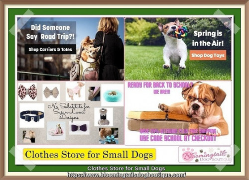 Shop our great selection of clothes for small dogs with fast shipping and great prices at our online store. https://bit.ly/3BhjR6D