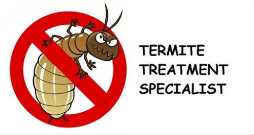 We offer Professional Termite Treatment Services in Jaipur at the best price. We Provide Pest Control Services at Kira Management Pvt. Ltd. in Jaipur. We also offer many other services like Mosquito Control, Cockroach Control, Ant Control Treatment. To avail our services call us +91-9610222237.For more information visit our site: http://www.pestcontrolkira.com/product-detail.php?mid=x2&pid=03