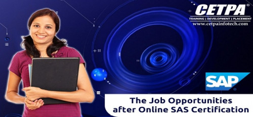 The-Job-Opportunities-after-Online-SAS-Certification.jpg