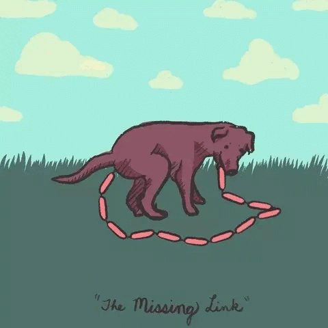 The missing link