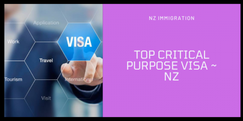 Top-Critical-Purpose-Visa-_-NZ.png