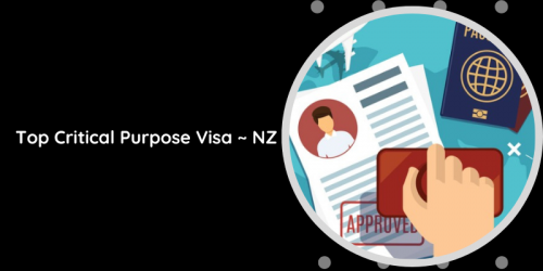 You can apply for this visa if you have a critical purpose for coming to New Zealand and Immigration New Zealand invites you to apply for this visa. To get an invitation to apply, you must fill in the request for travel form.
https://nzimmigration.info/critical-purpose-entry-visa/