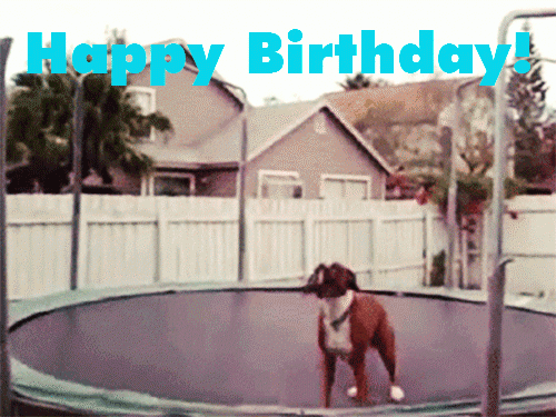 UNtR.gif