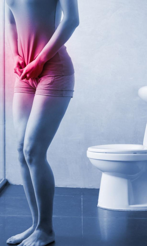 Women who are experiencing frequent sudden urination may wonder what causes this uncomfortable condition.https://www.usafibroidcenters.com/blog/frequent-urination-in-women