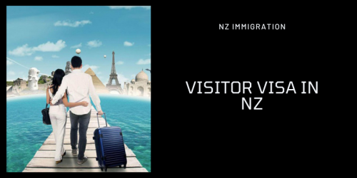 Visitor-Visa-In-NZ.png