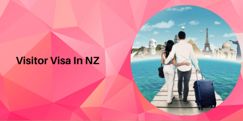 If you want to come and visit New Zealand, you’ll need to get either an NZeTA (New Zealand Electronic Travel Authority) or a Visitor Visa — unless you’re an Australian citizen.
https://nzimmigration.info/family-visa/visit-visa-nz/