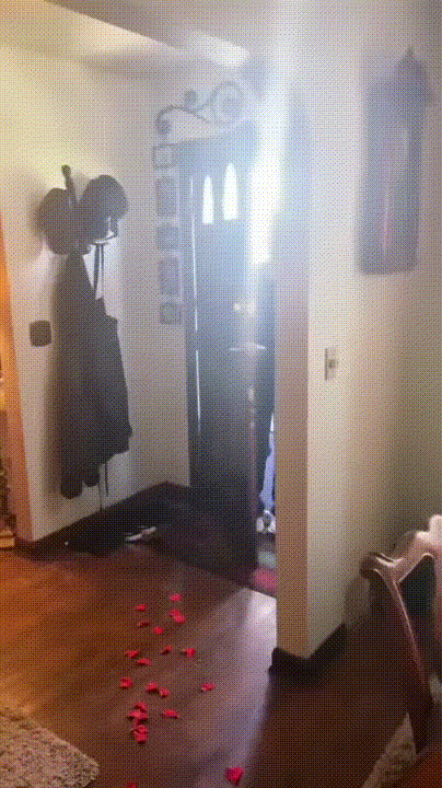 ajmgbZR_460svav1.gif