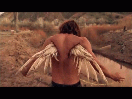 angel.gif