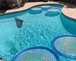 A PLUS Pool Service Company is one of the leading companies offering best quality pool repair services in Las Vegas. Feel free to call us at 702 - 707 – 3307.