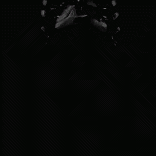 bL1cG.gif