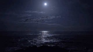 bL5dg.gif