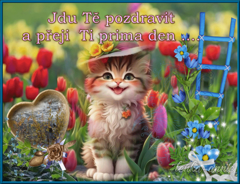 Jdu TÄ pozdravit