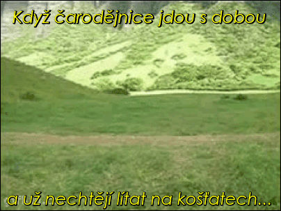 bL9gw.gif