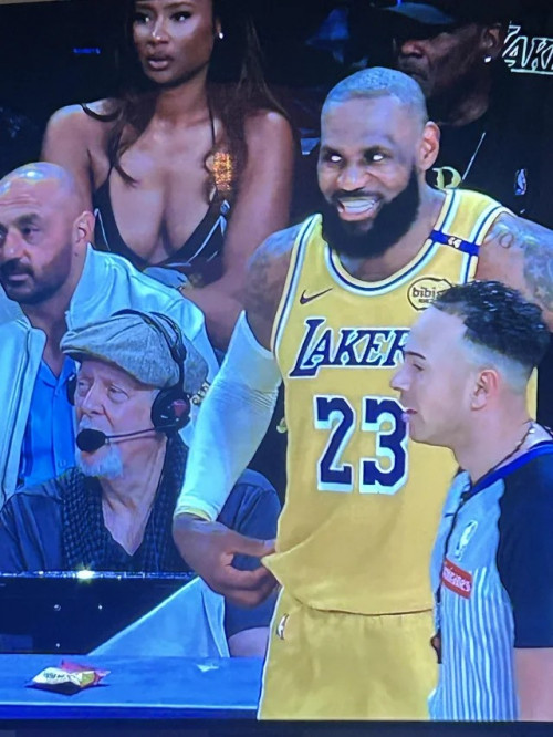 lebron and fan