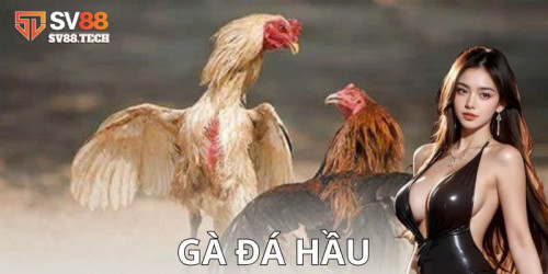 bLHyE.jpg