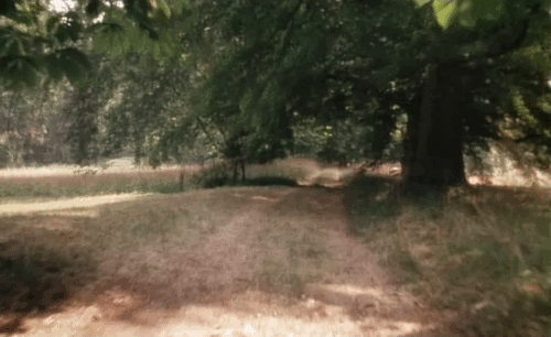 bLKBV.gif